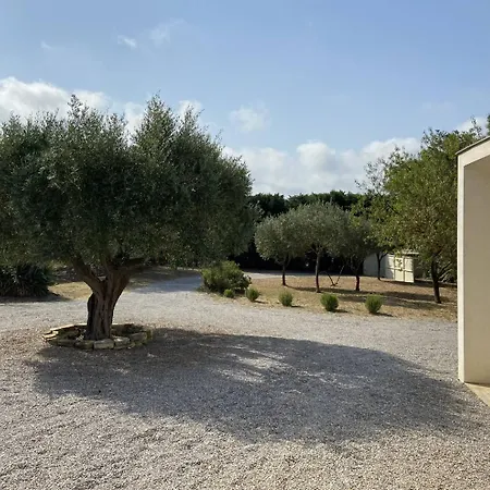 Magnifique Dans Le Massif De La Clape Villa